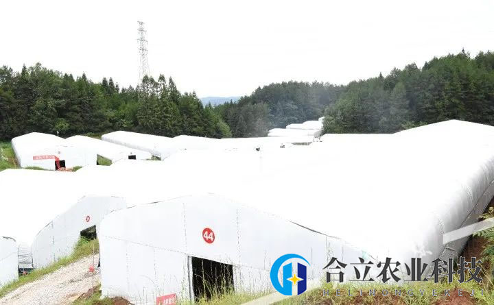 重慶石柱縣：這個食用菌基地建成投產